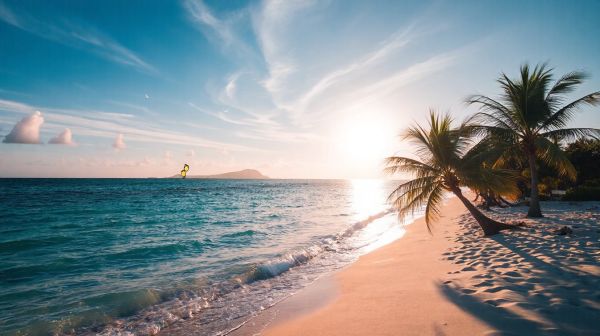 Top recommandations pour le kitesurf à Pointe du Bout